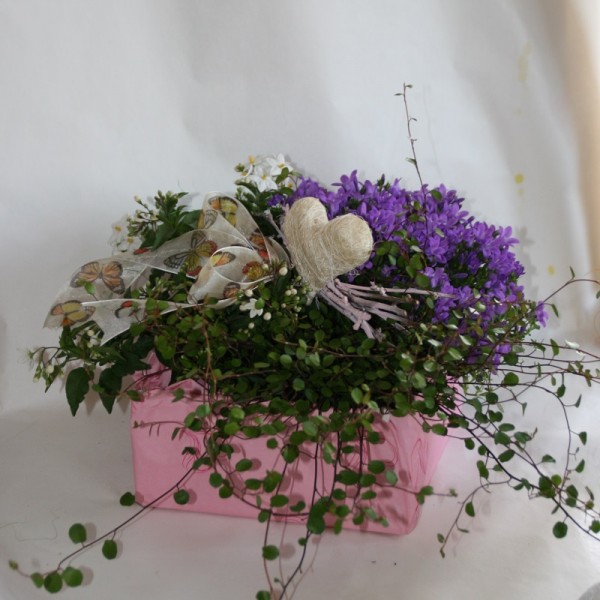 Buntes Pflanzpaket